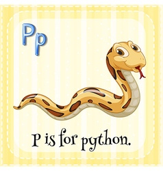 Python