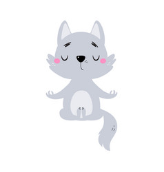 Cute Little Wolf Cub With Grey Coat Meditating