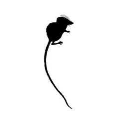 Tenrec Silhouette