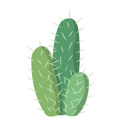 Cactus And Succulent Colorful Cartoon