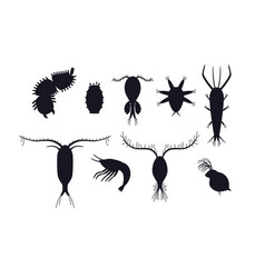 Zooplankton Black Silhouettes Set Flat