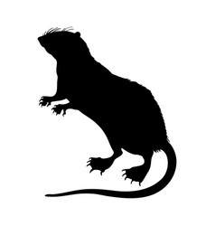 Water Tenrec Silhouette