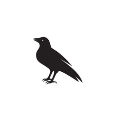 Blackbird Crow Icon Logo Design Isolated On White