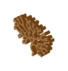 Irish Moss Seaweed Isometric Icon