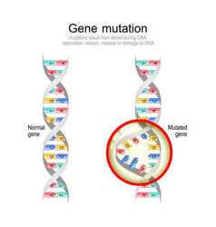 Genetic Mutation Normal Dna And Helix