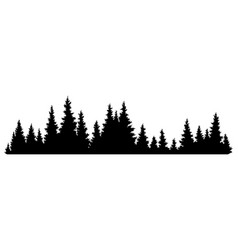 Fir Trees Silhouette Coniferous Spruce Horizontal