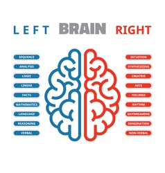 Brain hemispheres sketch Royalty Free Vector Image