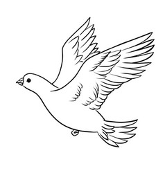 Dove with Olive Branch Vector Images (over 2,500)