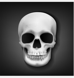 Realistic Skull Head On Dark Background