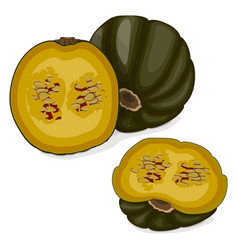 Chopped Zapallo Macre Squash Clipart