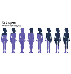 Estrogen Levels In Women By Age