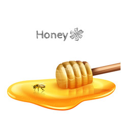 Honey Puddle With Stick