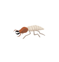 Cockroach Pest Insect Icon Or Symbol Flat