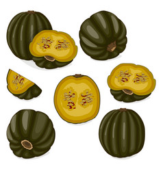 Set Of Zapallo Macre Squash Clipart