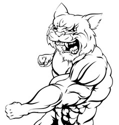 Wildcat Mascot Fighting