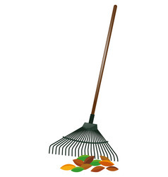 Rake And Dried Leaves On Ground