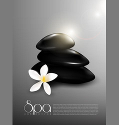 Realistic Spa Therapy Template