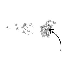 Dandelion Icon Isolated Black Silhouette