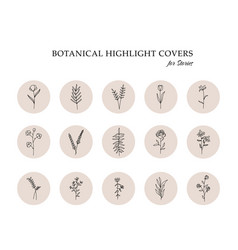 Floral Botanical Highlight Covers Minimal