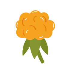 Fruit Cloudberry In Cartoon Hand Drawn Simple