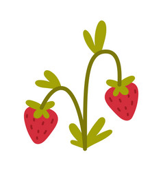 Ripe Strawberry Growing Plant Cartoon