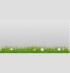 Seamless Grass Border With Spring Flowers