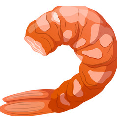 Shrimp Peeled Cartoon