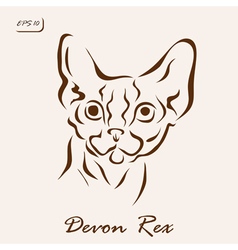 Devon Rex