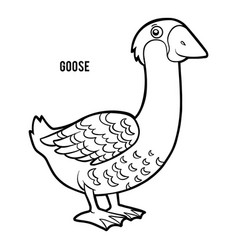 Coloring Book Goose