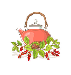 Schisandra Tea