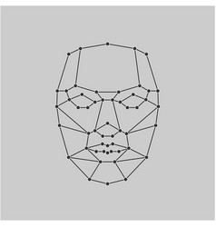 Face Recognition Mask With Key Lines And Points