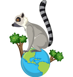 Lemur On Earth Globe