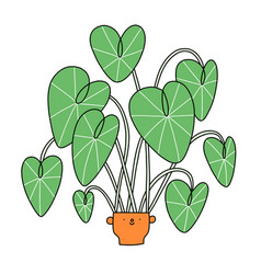 Cartoon Alocasia Character In A Cute Pot