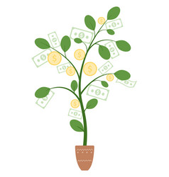 Money Plant Growing Finance Investment Color