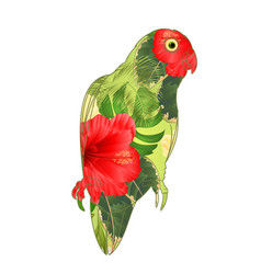 Parrot Agapornis Lovebird Tropical Bird