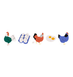 Chicken With Eggs Cartoon Hen Rooster Box Fried