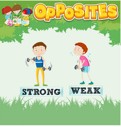 Opposite Words For Strong And Weak