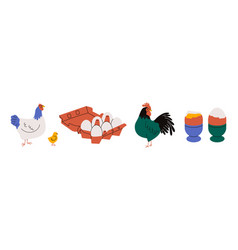 Chicken With Eggs Cartoon Hen Rooster Box Boiled