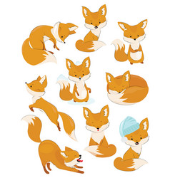 Set of isolated cute foxes part 1 Royalty Free Vector Image