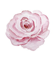 Watercolor Delicate Rose Valentines Day