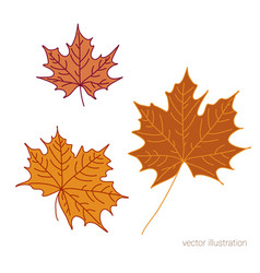 Set Of Hand Drawn Fall Leaves Of Maple