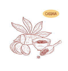 Cassava Tuber Leaves Starch Bowl Scoop