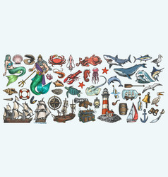 Marine Elements Labels Colorful Set