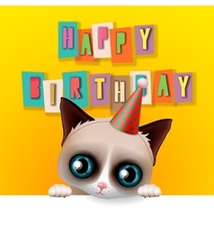 Cute Happy Birthday Card With Fun Grumpy Cat