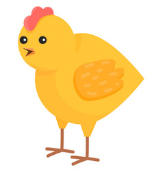 Cute Little Rooster Baby Bird Color Character