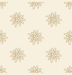 Edelweiss Flower Icon Alpine Logo Pattern