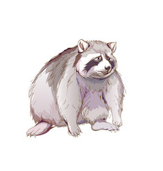 Fantasy Of Cute Sad Little Raccoon Wildlife