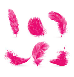 3d Realistic Pink Fluffy Feather Set