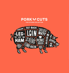 Pork Pig Scheme Diagram Chart Butcher