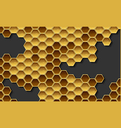 Honeycomb From A Bee Hive